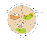Развивающий пазл Навито "Эволюция" - «globural.ru» - Воркута