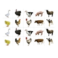 Комплект карточек. Серия наглядных пособий "Запоминай, играй, считай". Домашние животные - «globural.ru» - Воркута