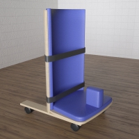 Сиденье для ребенка с ОВЗ «Без преград» - «globural.ru» - Воркута