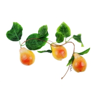 Муляж "Ветка груши" - «globural.ru» - Воркута