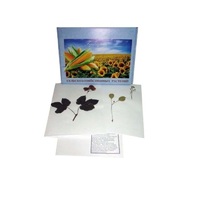 Гербарий Сельскохозяйственные растения (28 видов) - «globural.ru» - Воркута