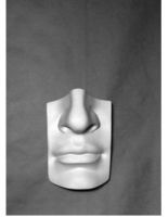 Губы с носом Давида - «globural.ru» - Воркута