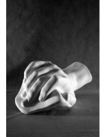 Кисть Давида - «globural.ru» - Воркута