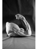 Рука, согнутая в локте - «globural.ru» - Воркута