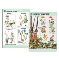 Комплект таблиц для начальной школы "Окружающий мир. Грибы. Растительный мир" - «globural.ru» - Воркута