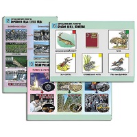 Комплект таблиц для  начальной школы "Окружающий мир. Экология" - «globural.ru» - Воркута