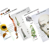 Таблицы по природоведению 1-3 класс - «globural.ru» - Воркута