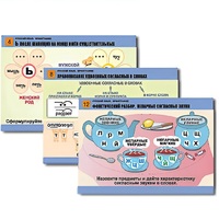 Комплект таблиц для начальной школы "Русский язык. Орфография" - «globural.ru» - Воркута