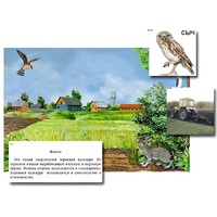 Магнитный плакат-аппликация "Поле: биоразнообразие и взаимосвязи в сообществе" - «globural.ru» - Воркута