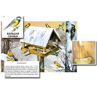 Магнитный плакат-аппликация "Биоразнообразие и экологические группы. Птицы зимой" - «globural.ru» - Воркута