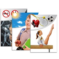 Модель-аппликация "Здоровье человека" - «globural.ru» - Воркута