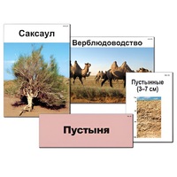 Модель-аппликация "Природные зоны России" - «globural.ru» - Воркута