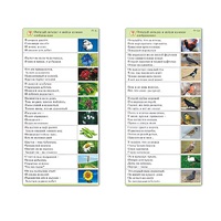 Комплект карточек (10) "Обучающий калейдоскоп. Природа" - «globural.ru» - Воркута