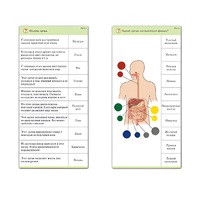 Комплект карточек (10) "Обучающий калейдоскоп. Человек" - «globural.ru» - Воркута