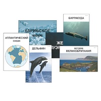 Модель-аппликация "Океаны. Знакомство" (ламинированная) - «globural.ru» - Воркута