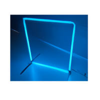 Световые ворота LS Quad 100 - «globural.ru» - Воркута