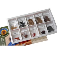 Коллекция "Плоды сельскохозяйственных растений" (вариант 2) - «globural.ru» - Воркута