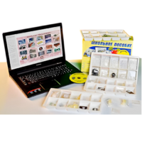 Коллекция натурально-интерактивная "Пластмассы" - «globural.ru» - Воркута