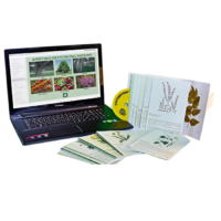 Гербарий натурально-интерактивный "Лекарственные растения" - «globural.ru» - Воркута