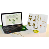 Гербарий натурально-интерактивный "Морфология растений" - «globural.ru» - Воркута