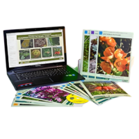 Гербарий натурально-интерактивный "Основные группы растений. Грибы. Лишайники" - «globural.ru» - Воркута