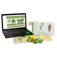 Гербарий натурально-интерактивный "Растительные сообщества. Лес" - «globural.ru» - Воркута