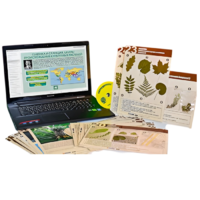Гербарий натурально-интерактивный к курсу основ общей биологии - «globural.ru» - Воркута