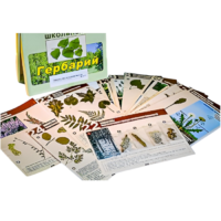 Гербарий к курсу основ общей биологии - «globural.ru» - Воркута