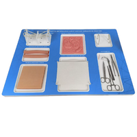 Тренажерный комплекс "Изучение и отработка ветеринарно-хирургических навыков на практике" - «globural.ru» - Воркута