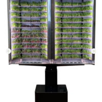 Вертикальная  ферма «Моя микрозелень» комплектация  «Театро настенная» - «globural.ru» - Воркута