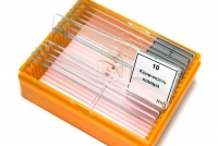 Набор микропрепаратов N10 - «globural.ru» - Воркута