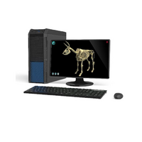 Макет масштабный «Скелет Коровы» Масштаб 1:2 - «globural.ru» - Воркута