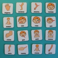 Набор карточек "Части тела" - «globural.ru» - Воркута