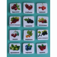 Набор карточек "Ягоды" - «globural.ru» - Воркута