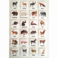 Набор карточек "ЖИВОТНЫЕ" - «globural.ru» - Воркута