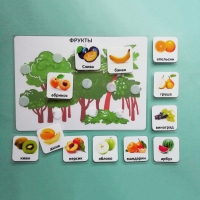 Пособие "Овощи и фрукты" - «globural.ru» - Воркута