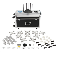 Рой дронов (10 дронов) - «globural.ru» - Воркута