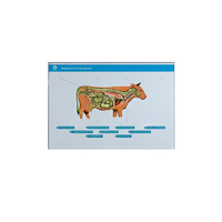 Стенд-планшет светодинамический "Изучение нервной системы сельскохозяйственных животных" со сменными панелями - «globural.ru» - Воркута