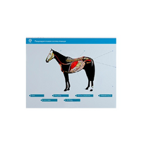 Стенд-планшет светодинамический "Изучение пищеварительной системы сельскохозяйственных животных" со сменными панелями - «globural.ru» - Воркута