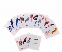 Раздаточные карточки "Мир морей и океанов" - «globural.ru» - Воркута