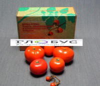 Муляжи Дикая форма и культурные сорта томатов - «globural.ru» - Воркута