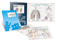 Комплект транспарантов «Человек и его здоровье. Дыхание» - «globural.ru» - Воркута