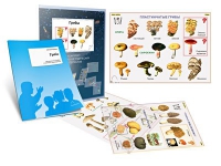 Комплект транспарантов «Грибы» - «globural.ru» - Воркута