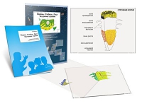 Комплект транспарантов «Корень. Стебель. Лист (Внутреннее строение)» - «globural.ru» - Воркута