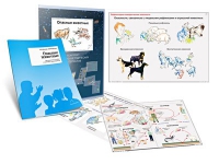 Комплект транспарантов «Опасные животные» - «globural.ru» - Воркута