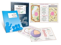 Комплект транспарантов «Цитология» - «globural.ru» - Воркута