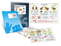 Комплект транспарантов «Ядовитые и жалящие животные» - «globural.ru» - Воркута