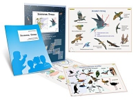 Комплект транспарантов «Зоология. Птицы» - «globural.ru» - Воркута