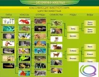 Стенд "Систематика животных" - «globural.ru» - Воркута