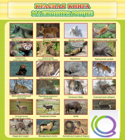 Стенд "Красная книга - млекопитающие" - «globural.ru» - Воркута